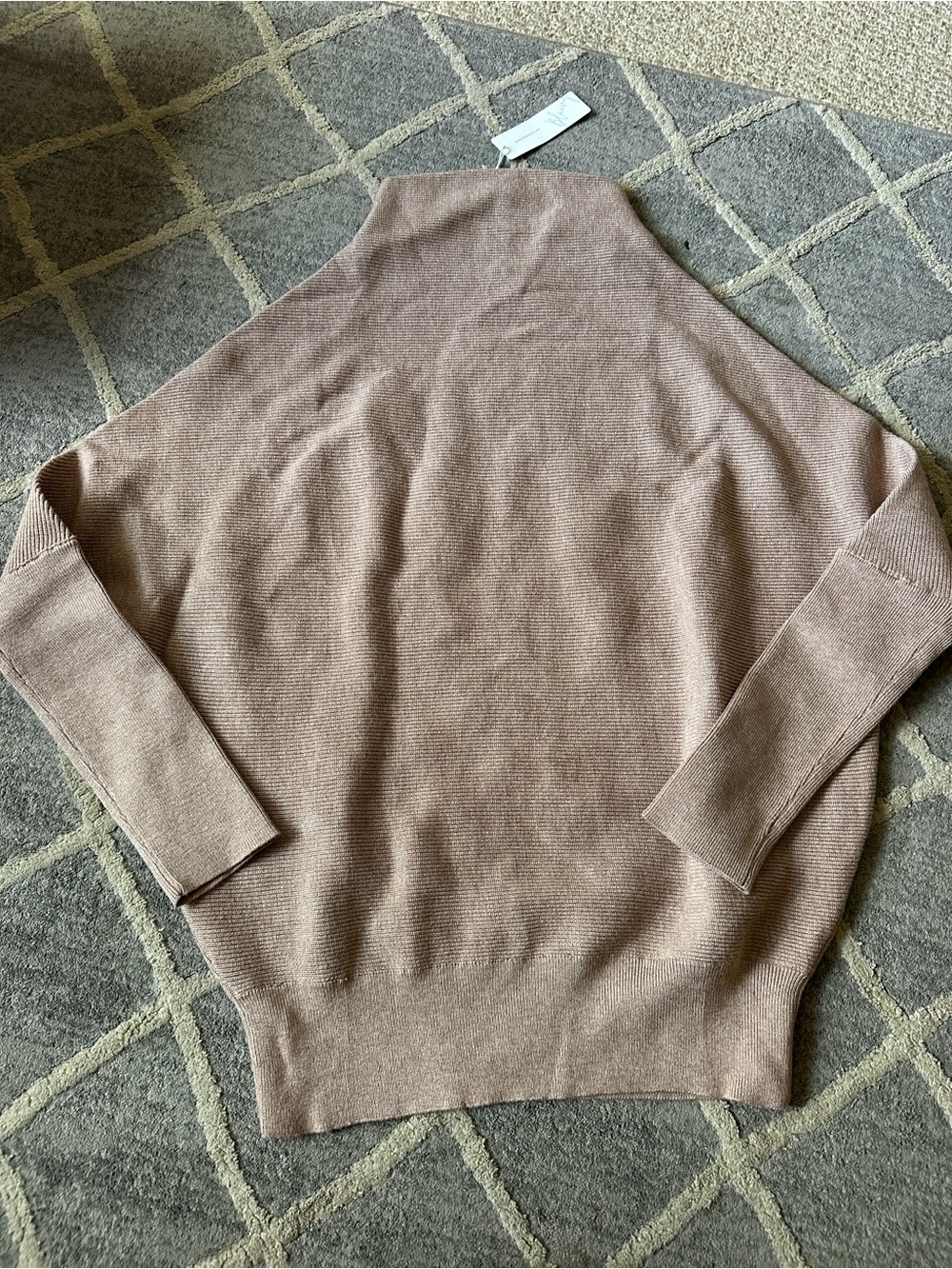 Bluivy Mauve/Taupe Cowl Neck Sweater